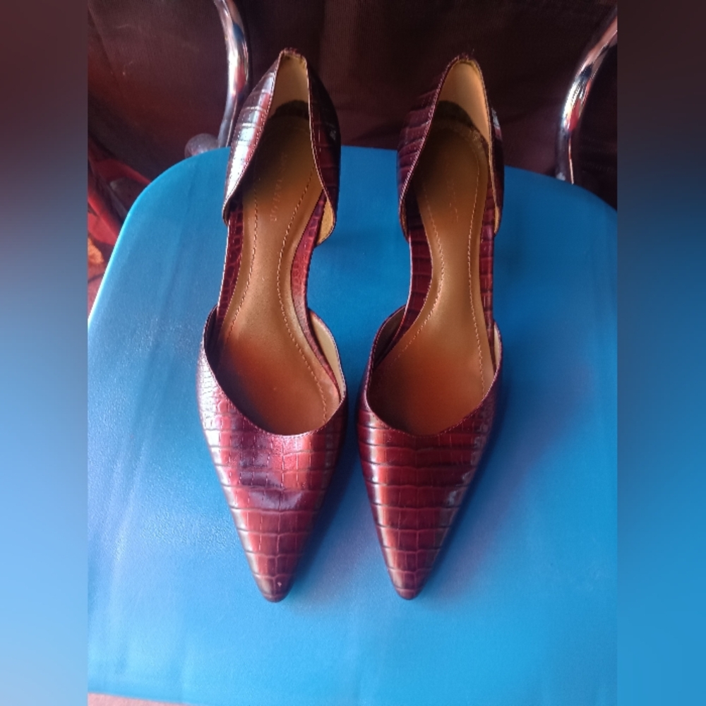 Anna Taylor women's pointed toes. Leather upper and sole made in Brazil size 7M